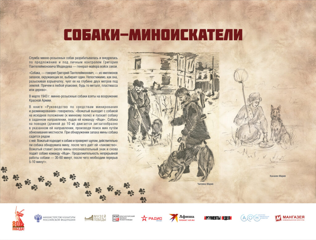 Музей Победы представляет мультимедийную выставку «Четвероногие герои»