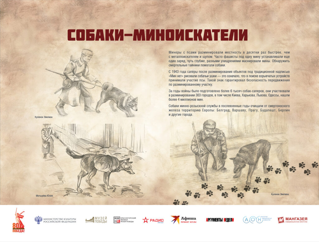Музей Победы представляет мультимедийную выставку «Четвероногие герои»