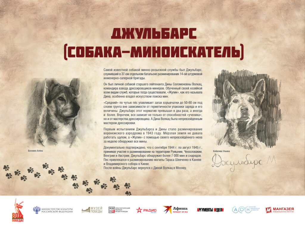 Музей Победы представляет мультимедийную выставку «Четвероногие герои»