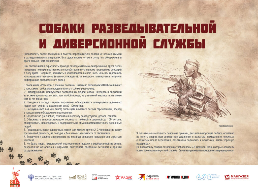 Музей Победы представляет мультимедийную выставку «Четвероногие герои»