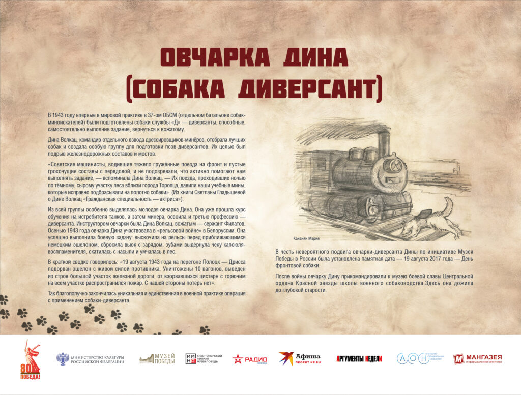 Музей Победы представляет мультимедийную выставку «Четвероногие герои»