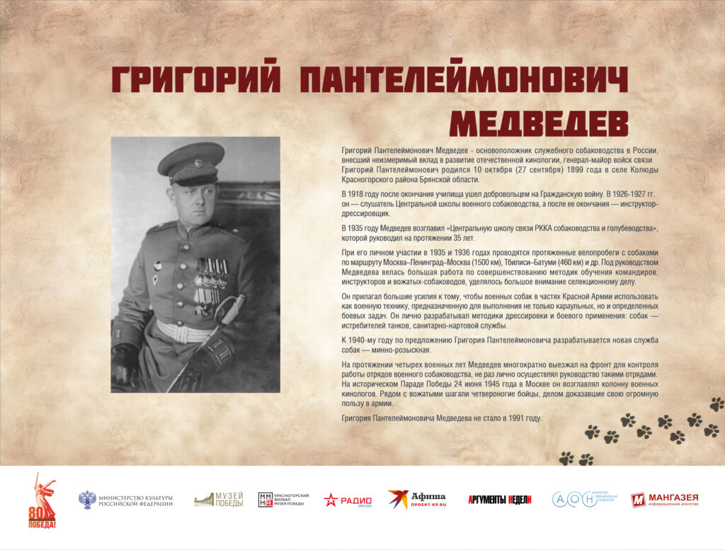 Музей Победы представляет мультимедийную выставку «Четвероногие герои»
