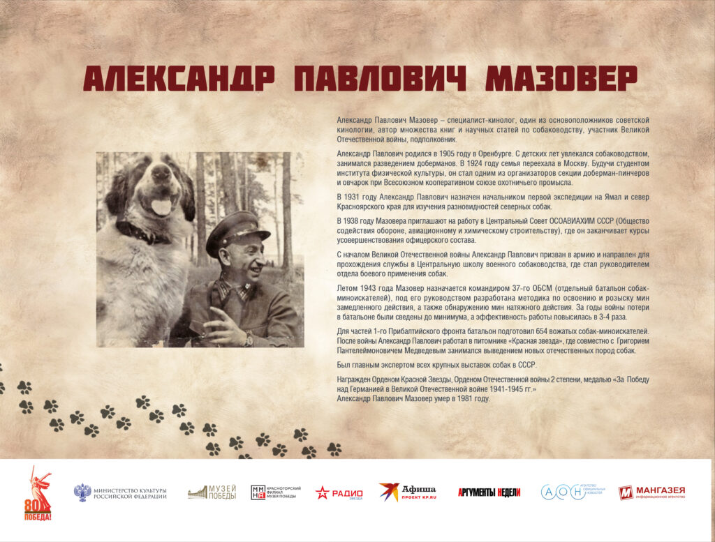 Музей Победы представляет мультимедийную выставку «Четвероногие герои»