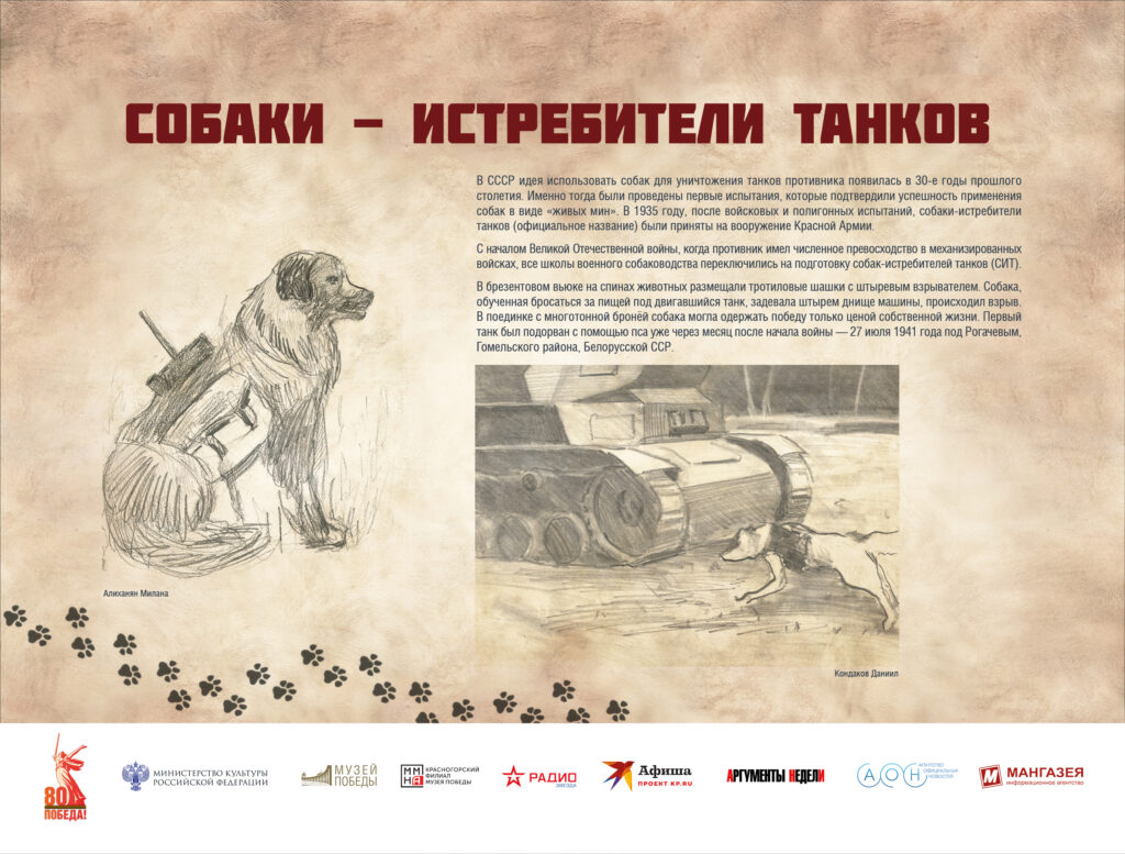 Музей Победы представляет мультимедийную выставку «Четвероногие герои»