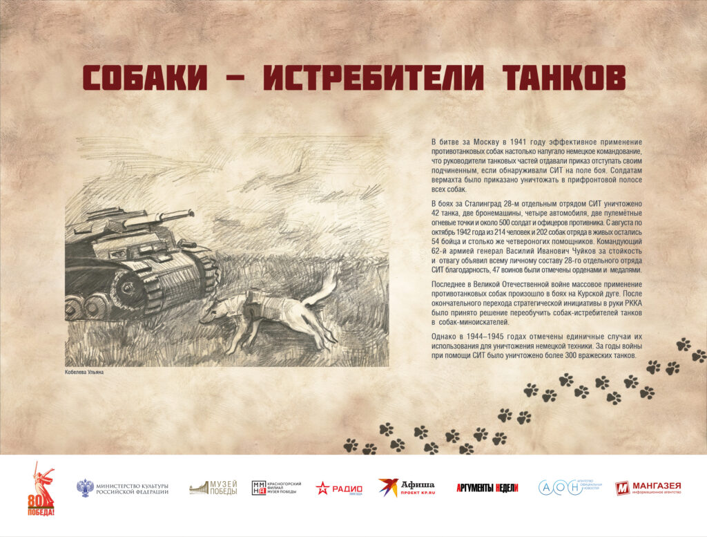 Музей Победы представляет мультимедийную выставку «Четвероногие герои»