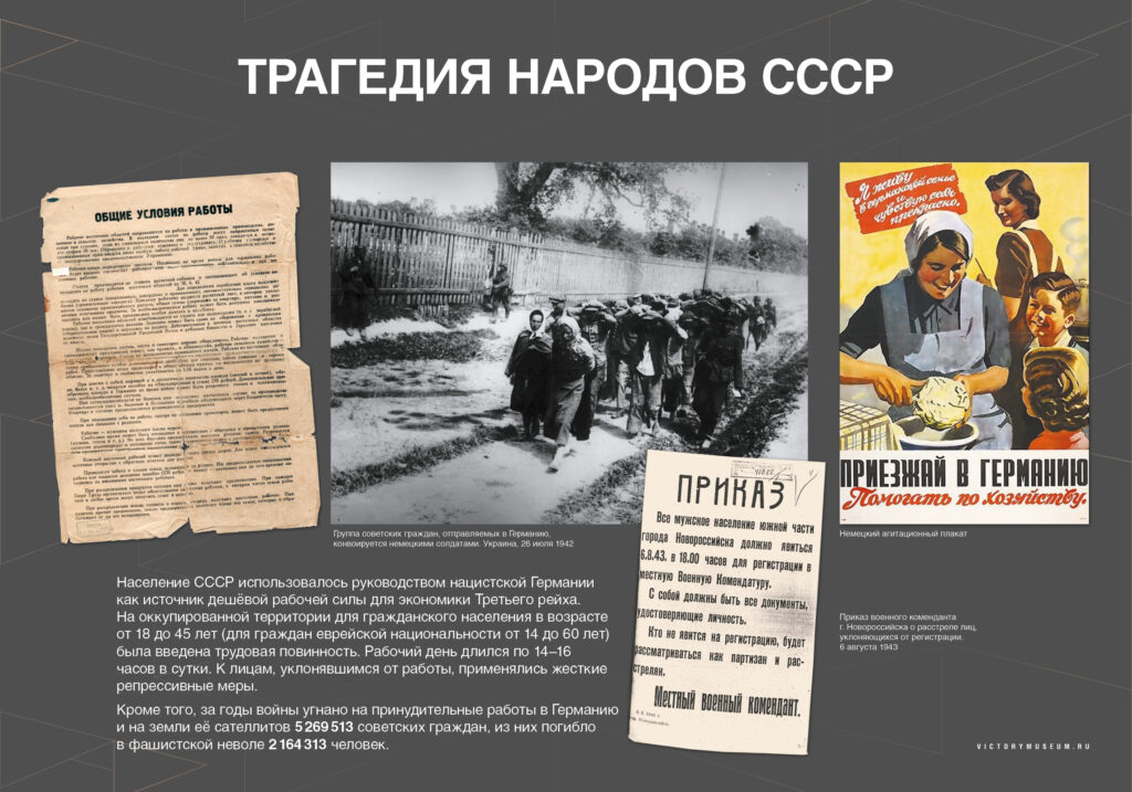 Уроки Нюрнберга